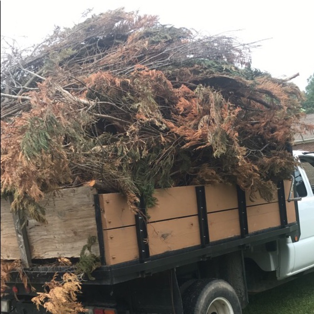 Meet your Posher, Mario